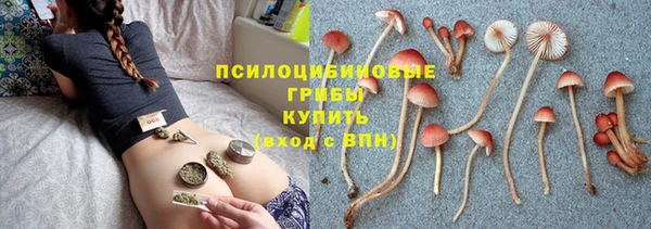 ГАЛЛЮЦИНОГЕННЫЕ ГРИБЫ Алзамай
