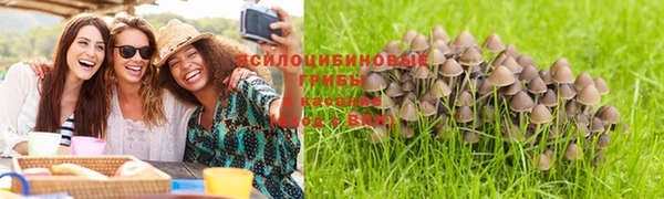 COCAINE Алексеевка