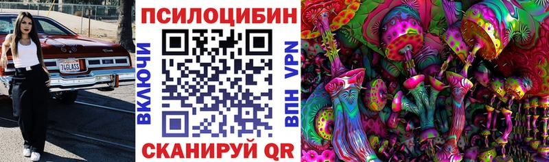 Псилоцибиновые грибы Cubensis  закладка  Саранск 