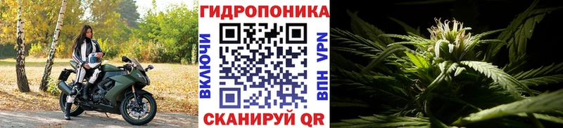 Конопля марихуана  гидра зеркало  Саранск  цены наркотик 